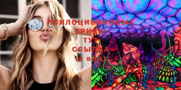 2c-b Костерёво