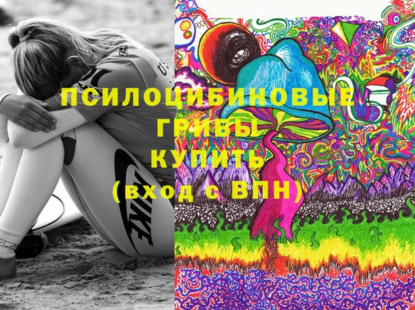 стаф Коряжма