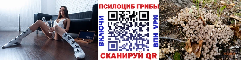 Псилоцибиновые грибы MAGIC MUSHROOMS  Купить  Ефремов 